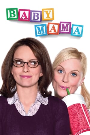 Baby Mama (2008) Dual Audio | Dubbed Hindi Movie BluRay 300MB