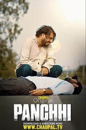 Panchhi 2021 Punjabi Movie | Dubbed Hindi Movie HDRip x264 [750MB]