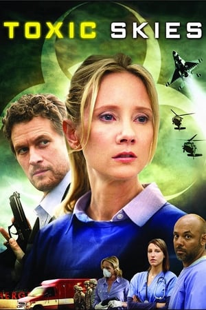 Toxic Skies 2008 Dual Audio | Dubbed Hindi Movie BluRay 300MB